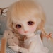 ENADOLL