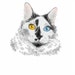 PaperKittyCatCo