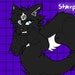 Buyer Avatar