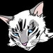 MEOWRY787