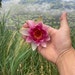 Buyer Avatar