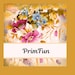 PrimFun avatar