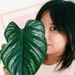 Buyer Avatar