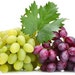 GrapesAndYou