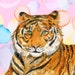 Buyer Avatar