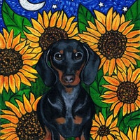KimbasCritters