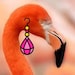 EarringoCo