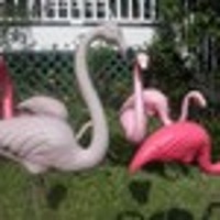 3floridagirls
