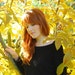 Agnieszka avatar