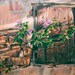 Janet avatar