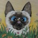 StamperJs avatar