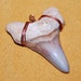 GiftbearerSupply avatar