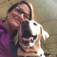 Dollars4ServiceDogs