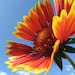 allthingsmod
