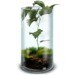 MossTerrariums avatar