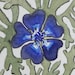 GeraniumBlue avatar