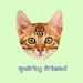 QuirkyFriend