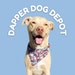 Dapper Dog Depot