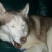 WolfCreekmil avatar