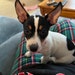 DaisyMaeStudioCincy