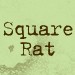 squarerat avatar
