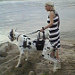 Buyer Avatar