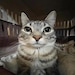 Tony