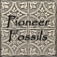 PioneerFossils