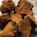 Chaga Pure and Simple