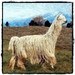 AlpacaHillDrygoods