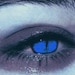 Buyer Avatar