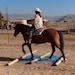 Mustang Megan