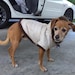C12ys