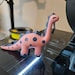 LogibearPrints