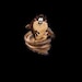 Buyer Avatar