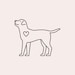 treatandtail