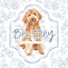 BentleyCollectiveTN