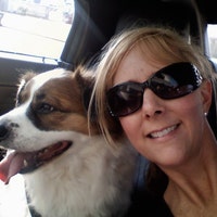 SouthernDogCollarCo