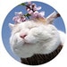 Buyer Avatar