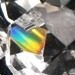 wingsoflove avatar