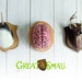 creaturesgreatnsmall