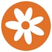 MagicBloomPress
