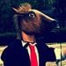 Buyer Avatar