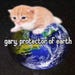 Buyer Avatar