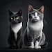 TheHustlingCatLady