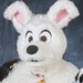 GSY Fursuits