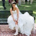Dedra Allane avatar