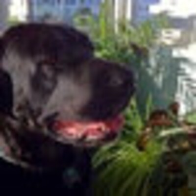 Becky's profile picture