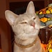 Buyer Avatar