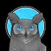 runeowl